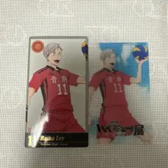 ハイキュー!! ゴミ捨て場の決戦展 灰羽リエーフ