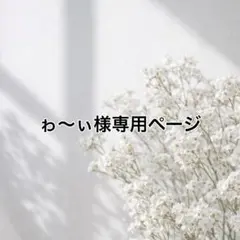 ゎ〜ぃ❕様専用ページ