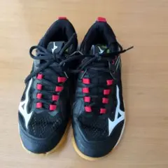 バドミントンシューズ