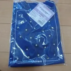 ポケモン 2025 トートバッグ 青　 一番くじ C賞 アンノーン