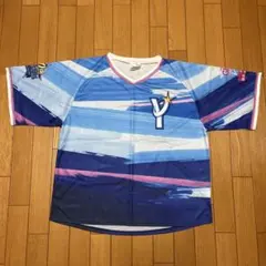 Item thumbnail for item e50f193f-95ea-48f2-ba8d-effb0e76ea61