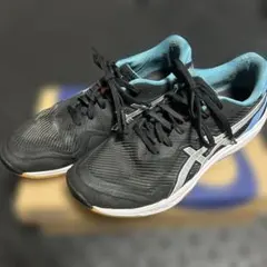 Item thumbnail for item 9aa83850-0f44-4639-95ed-6e9cde07f16c