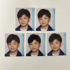 Myojo デタカ データカード 5枚セット 大サイズ Jr. 西中秀太