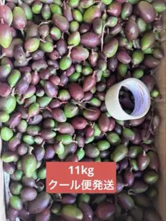 宮崎県産 摘果マンゴー グリーンマンゴー10kg 宮崎県産 摘果マンゴー グリーンマンゴー 10kg - メルカリ