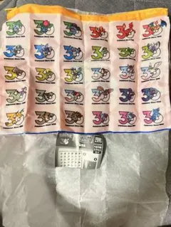 ポケモン 30周年 フラットポーチ