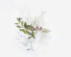 Item thumbnail for item 8b0ffab7-b65c-4e44-b868-4a23ca71ad9e