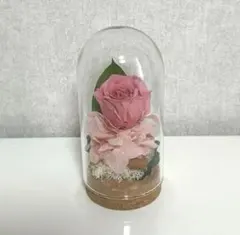 Item thumbnail for item bee665a7-be3f-4884-a088-0ca7b0ead7e3