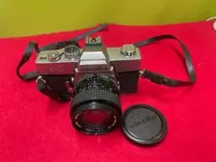 Item thumbnail for item 5e50b51a-faa4-46ee-9cc8-e19300cd83f9