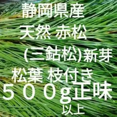 2025年最新】赤松の人気アイテム - メルカリ