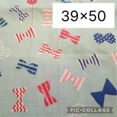 リボン柄 水色　生地