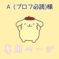 A（プロフ必読）様専用ページ