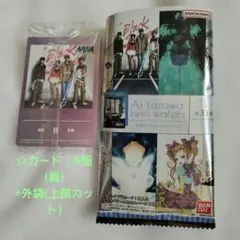 Ai Yazawa twin wafers #33 +外袋はおまけ
