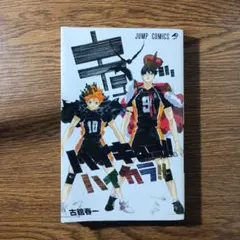 ハイキュー!! 公式カラーイラスト集ハイカラ！！