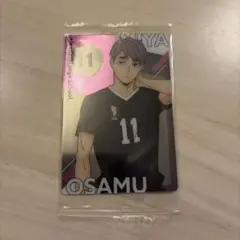 ハイキュー 宮治