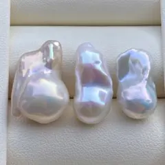 lshkmk様　ご確認専用ページ251222