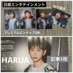 Item thumbnail for item 24552c2a-9ab6-4efc-a756-b0ef05a4e36c