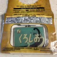 Item thumbnail for item 6d81fb6c-1934-4b57-a2f0-54743d51bb1b