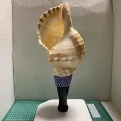 2025年最新】法螺貝の人気アイテム - メルカリ