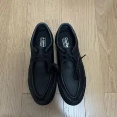 Item thumbnail for item 57ae1871-7986-49c6-aa71-5bf57a508954