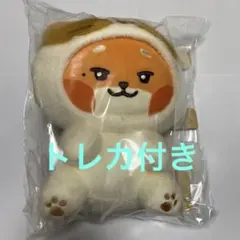 2026年最新】ZERONI マシューの人気アイテム - メルカリ