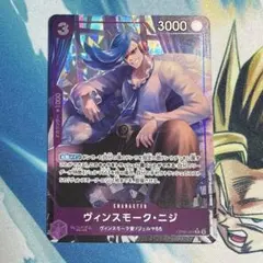 ヴィンスモークニジ　パラレル