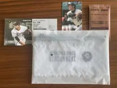 Item thumbnail for item f583a83a-bab7-4a96-ba3e-99a721e23790