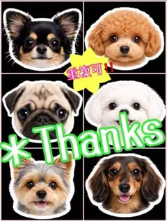 【受付終了しました】handmade＊ショルダーにもなる⭐️ワンコ 顔ポケBAG❤️