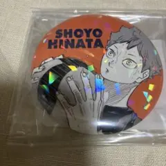 ハイキュー　オールスター缶バッジ 10 日向