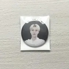 セブチ ミュージアム 2024 缶バッチ 缶バッジ ディノ 匿名発送