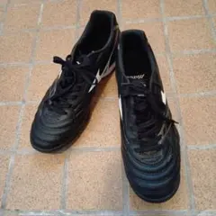 ミズノモレリア