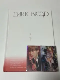 enhypen ソヌ　dark blood
