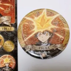 家庭教師ヒットマンREBORN! 沢田綱吉 缶バッジ フルカラー リボーン