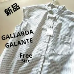 新品⭐GALLARDAGALANTEノースリーブシャツ キラッと光る縦ストライプ