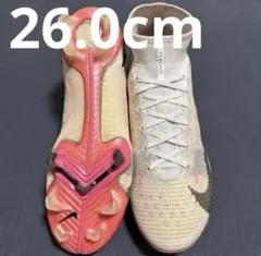 Item thumbnail for item 42cd53e1-73a1-4149-959b-4709ebab1c3d