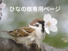 ご依頼主様　専用ページ