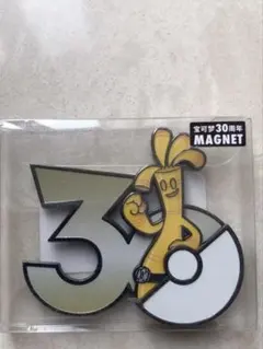 ポケモン 30周年 マグネット 限定品 ジラーチ - メルカリ