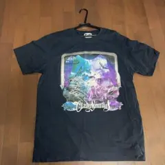 2026年最新】OZROSAURUS tシャツの人気アイテム - メルカリ
