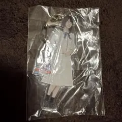 生田絵梨花 全身アクリルキーホルダー インフルエンサー