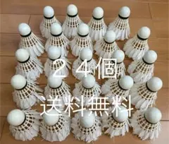 Item thumbnail for item 0e4bb027-9e98-4a0c-9522-2698968fcbb6