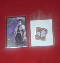 鬼滅の刃 劇場グッズ キャラクターモチーフピンズ 箔押しカード