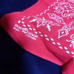 Item thumbnail for item b0a84225-d380-40ca-b18d-8a2de573fcb3