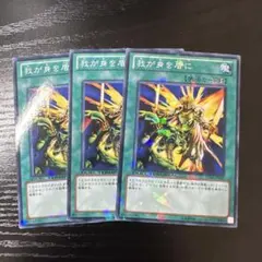 遊戯王　我が身を盾に　DT
