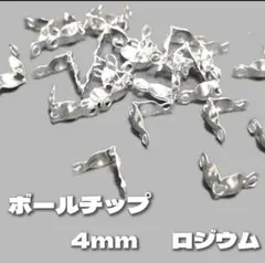 Item thumbnail for item b943b79b-1057-4d51-9ad4-f9d5a1510010