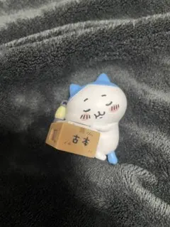 ダンボールウォッチ ハチワレ