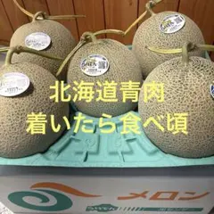 糖度15以上保証!! 夕張IKメロン4玉 秀品8キロ - メルカリ