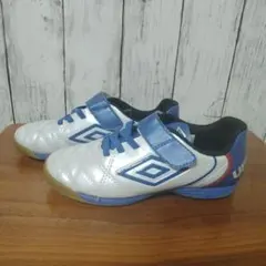 Item thumbnail for item a800045f-bdfb-4757-a01c-2fe101594389