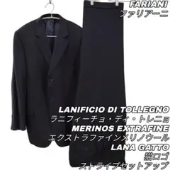895 FARIANI セットアップスーツ ストライプ ブラック 24AB6