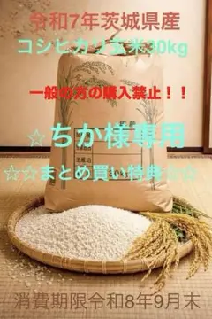 令和7年茨城県産コシヒカリ 30kg 玄米 - メルカリ