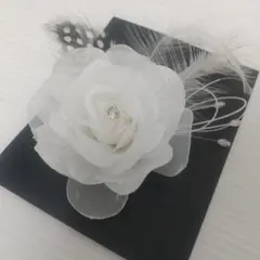 Item thumbnail for item ba6116bd-ef58-4b8d-85c7-5fd3a36633b5