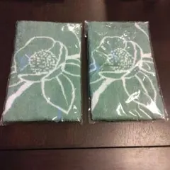 Item thumbnail for item 7cb77bae-ca6b-4464-9de9-7a298b821074